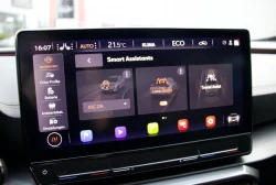 Cupra Formentor    1.4 e-Hybrid    ACC    DSG